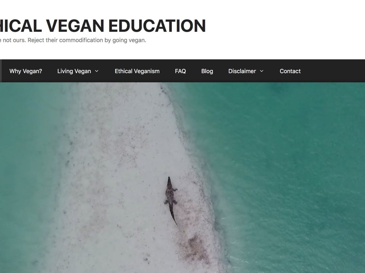 Nueva página web sobre veganismo
